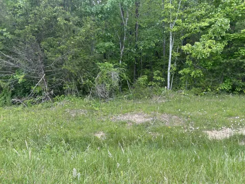 0 RT Davis Rd