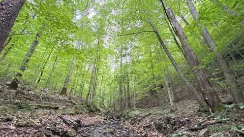 0 Murphy Hollow Rd