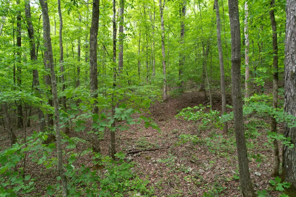 0 Murphy Hollow Rd Trenton, GA 30752