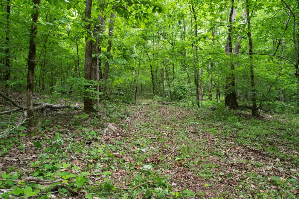 0 Murphy Hollow Rd Trenton, GA 30752