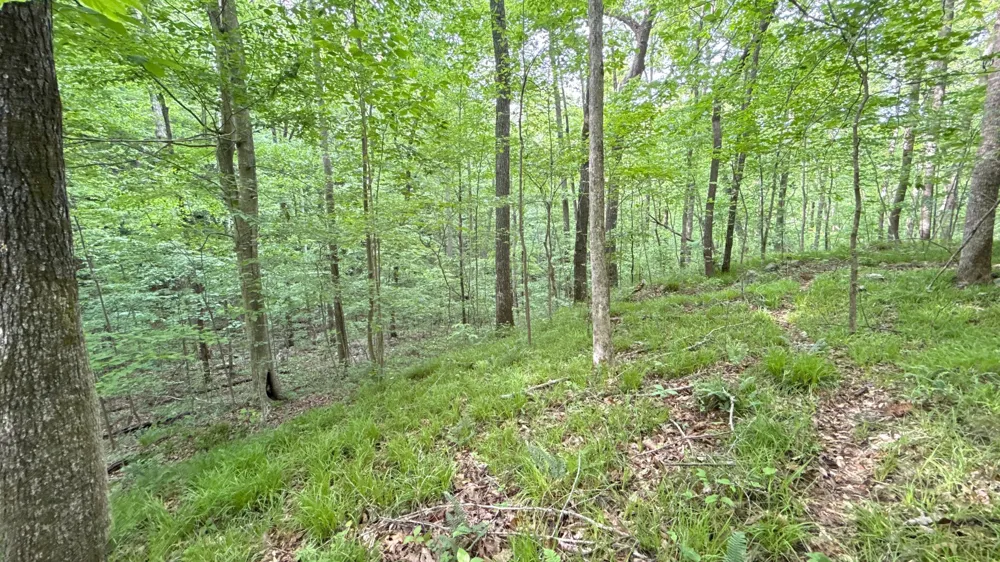 0 Murphy Hollow Rd Trenton, GA 30752
