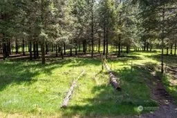 191 Sugarpine Road Ariel, WA 98603