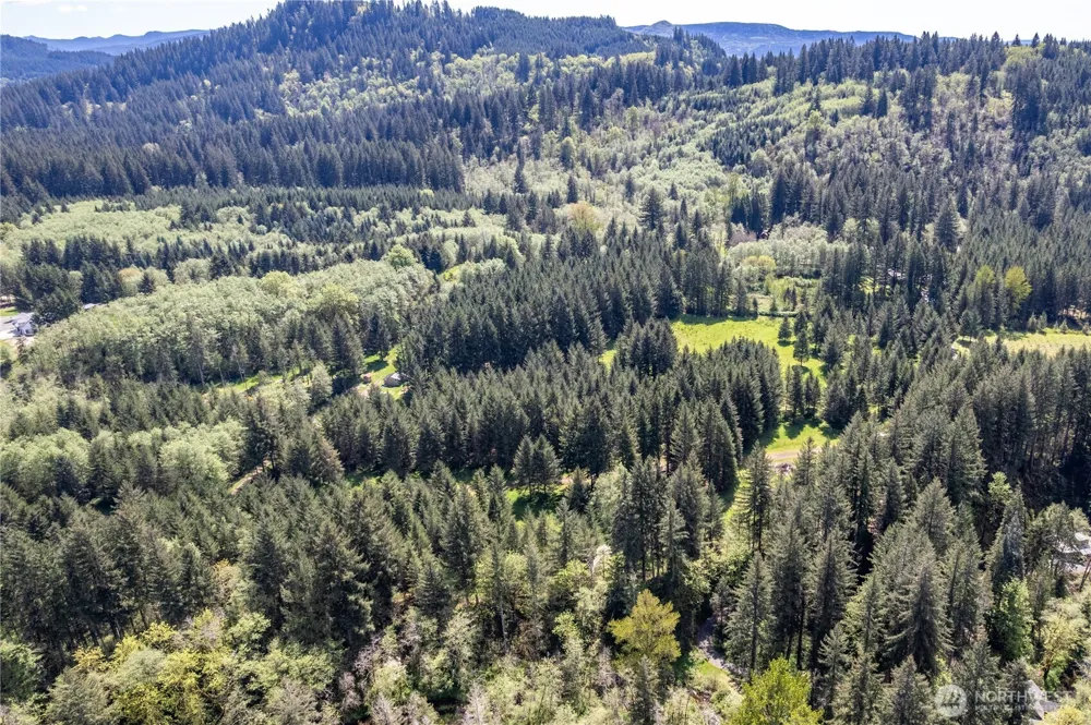 171 Sugarpine Road Ariel, WA 98603
