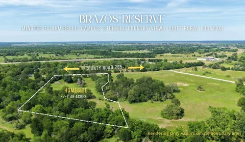 Brazos Court (7.48 Acres)