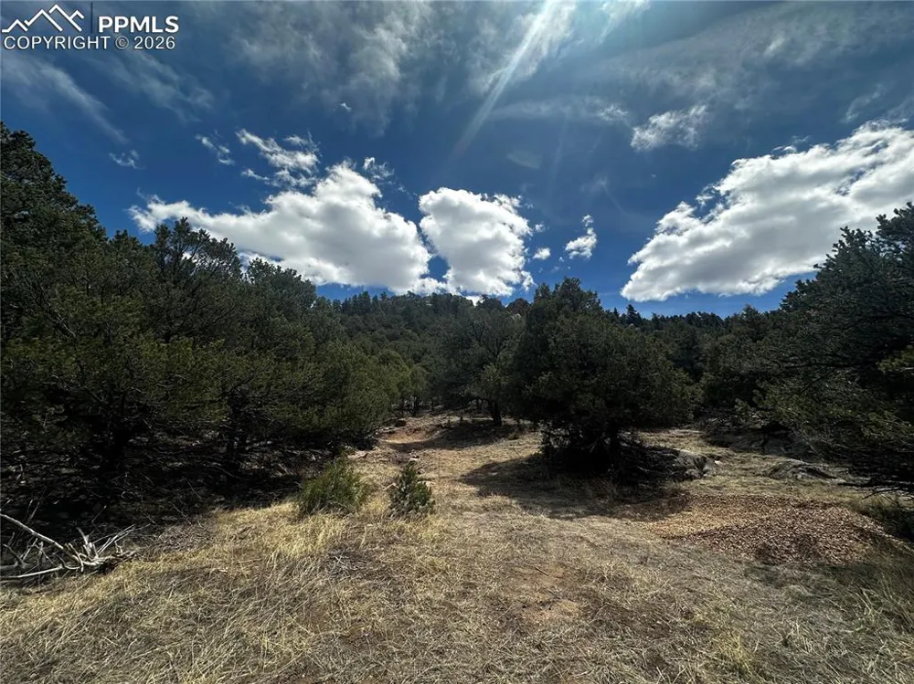938 Shoshone Drive Canon City, CO 81212