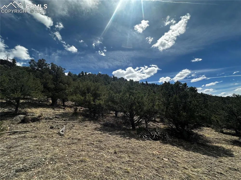 938 Shoshone Drive Canon City, CO 81212