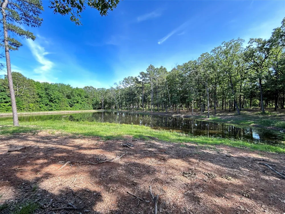 3236 Farm Road 3019 Winnsboro, TX 75494