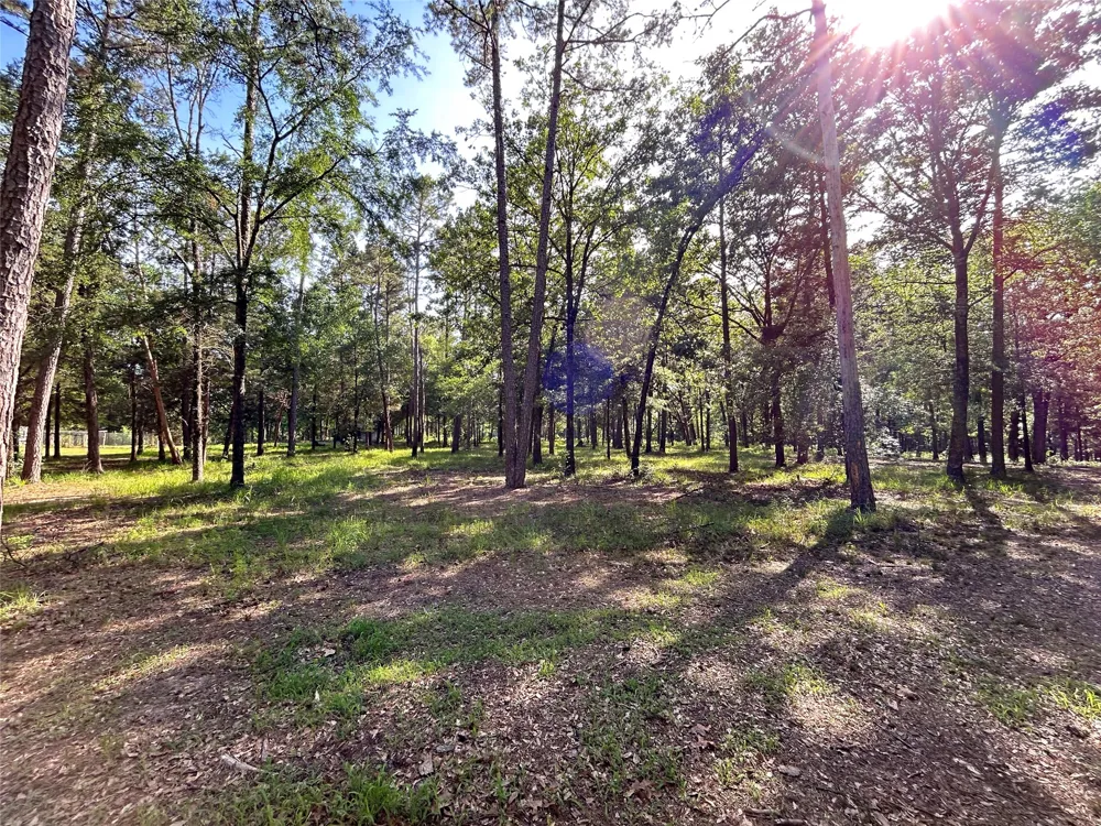 3236 Farm Road 3019 Winnsboro, TX 75494