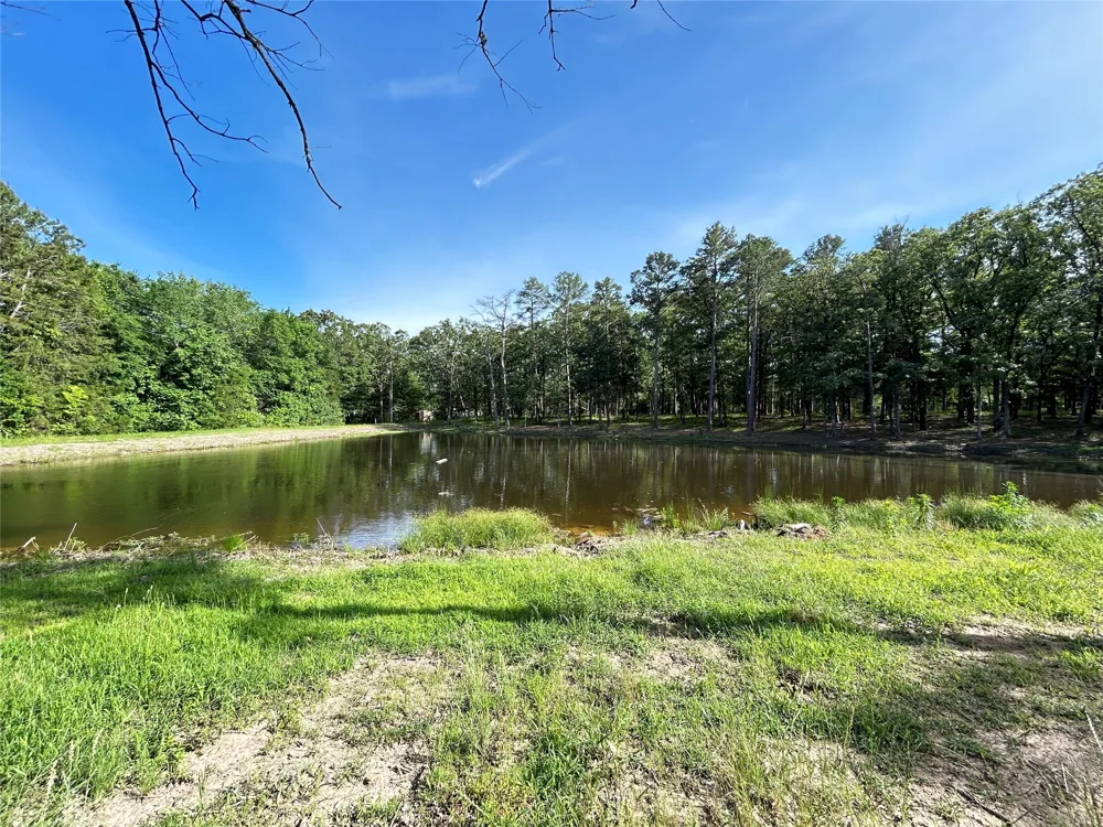 3236 Farm Road 3019 Winnsboro, TX 75494