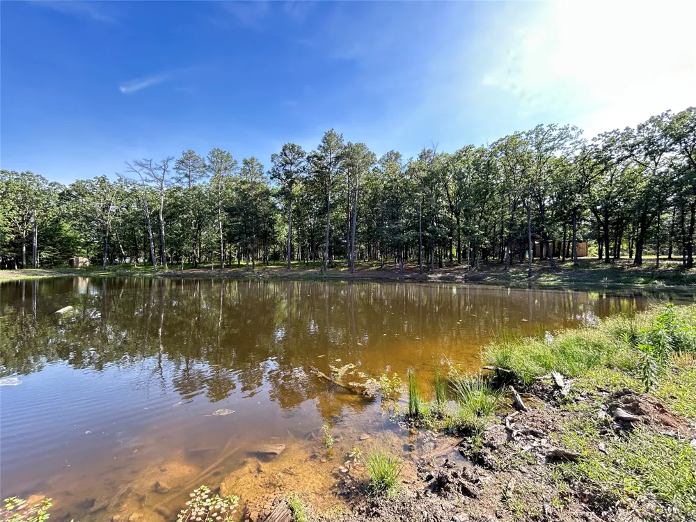 3236 Farm Road 3019 Winnsboro, TX 75494