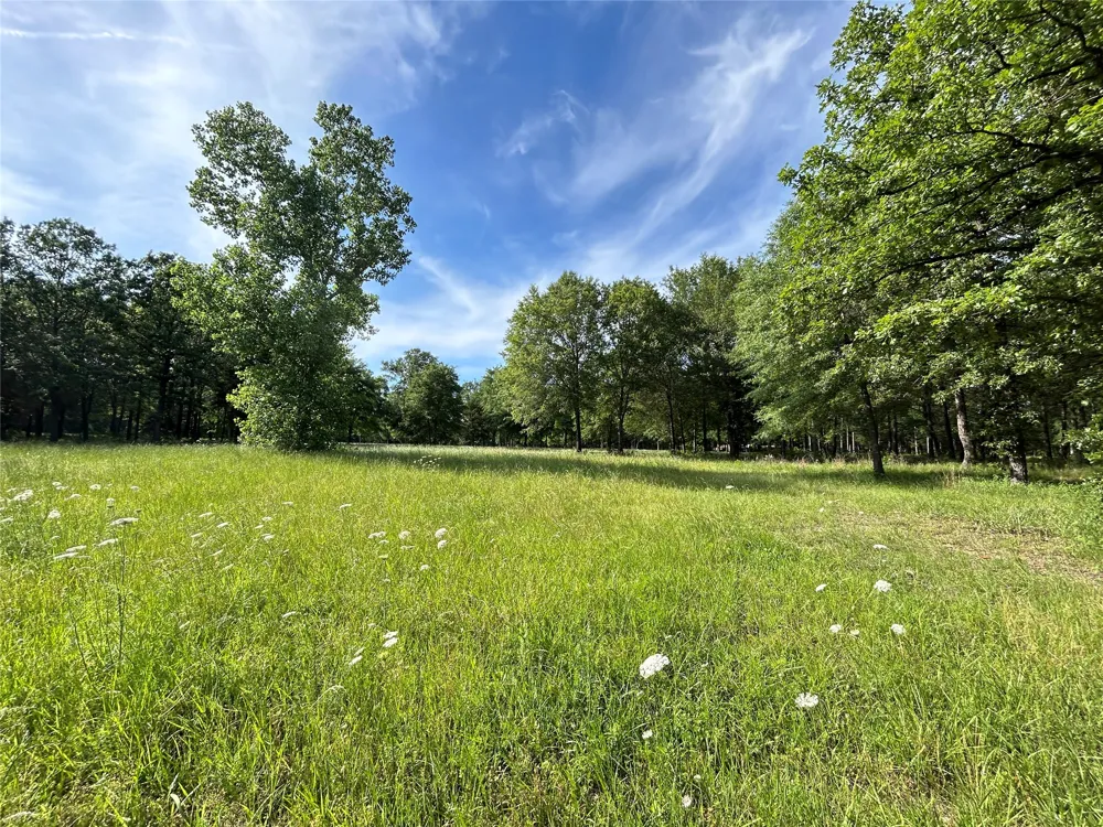 3236 Farm Road 3019 Winnsboro, TX 75494