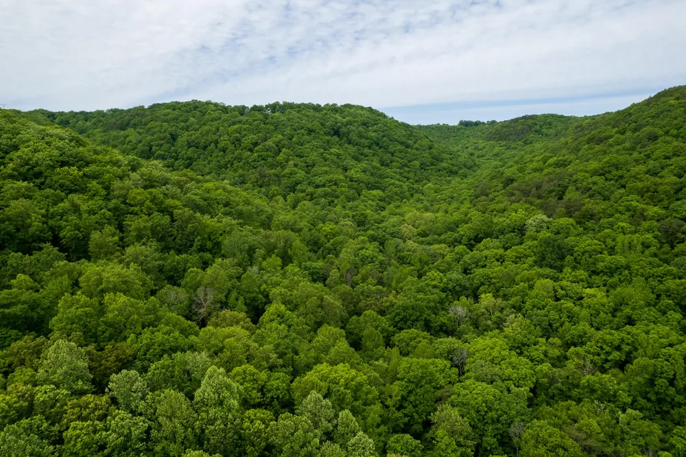 Murphy Hollow Trenton, GA 30752