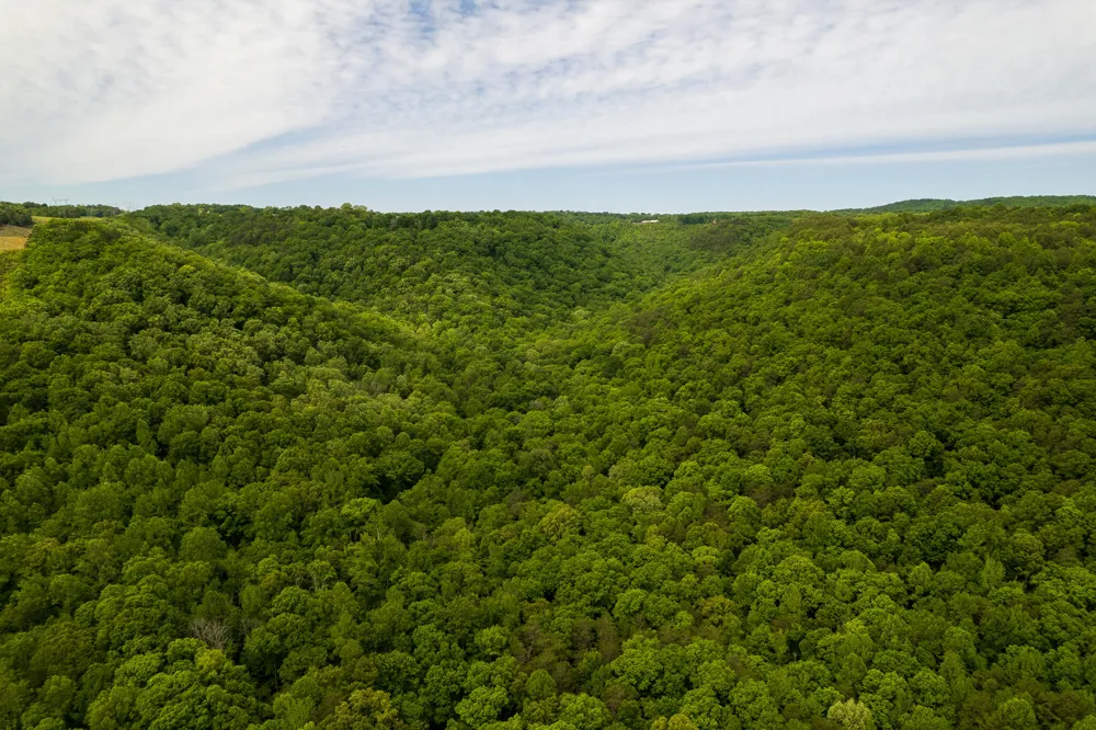 Murphy Hollow Trenton, GA 30752