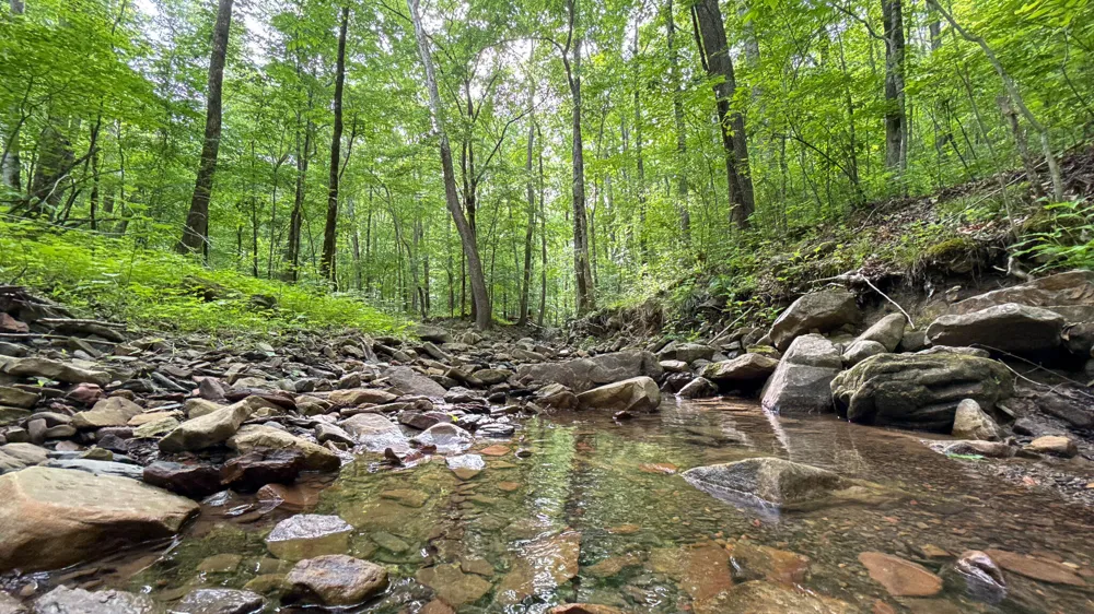 Murphy Hollow Trenton, GA 30752