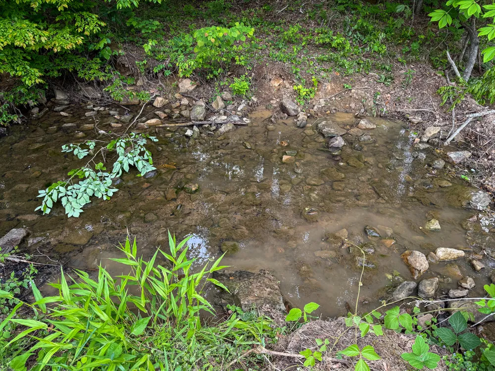 Murphy Hollow Trenton, GA 30752