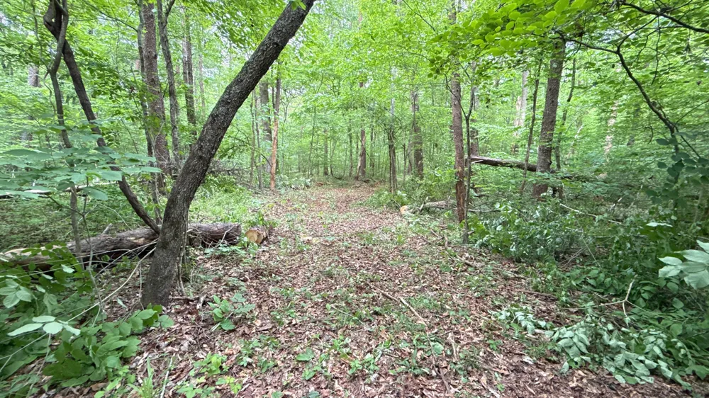 Murphy Hollow Trenton, GA 30752