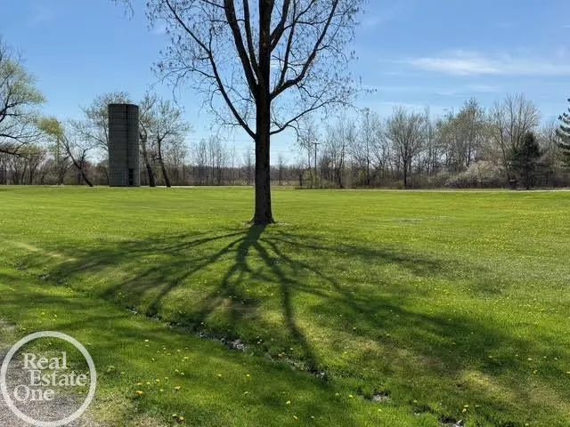 15594 Bryce Road Mussey Township, MI 48014