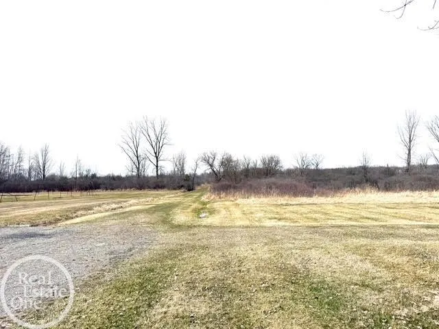 15594 Bryce Road Mussey Township, MI 48014
