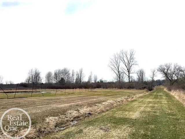 15594 Bryce Road Mussey Township, MI 48014