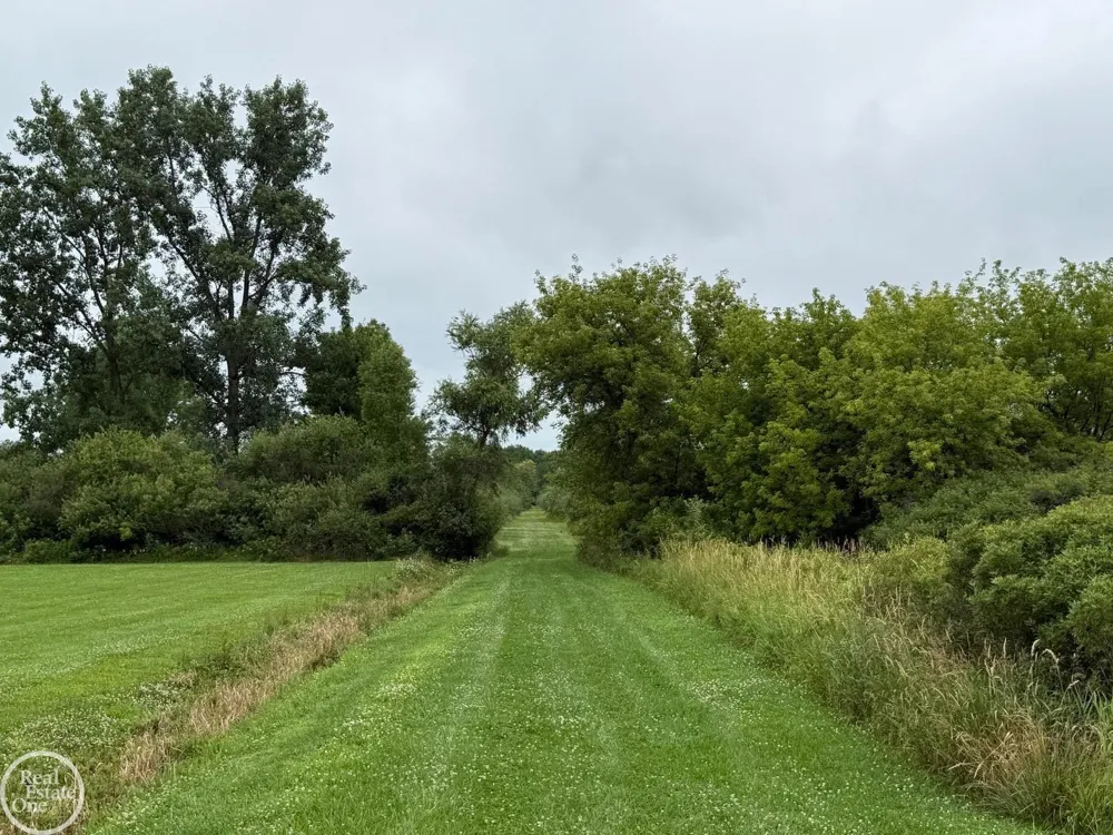15594 Bryce Road Mussey Township, MI 48014