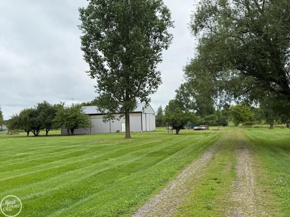 15594 Bryce Road Mussey Township, MI 48014