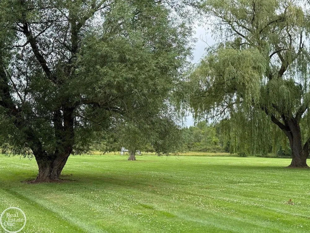15594 Bryce Road Mussey Township, MI 48014