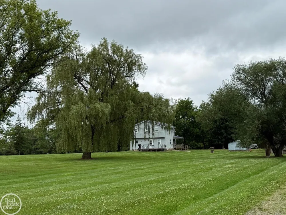 15594 Bryce Road Mussey Township, MI 48014