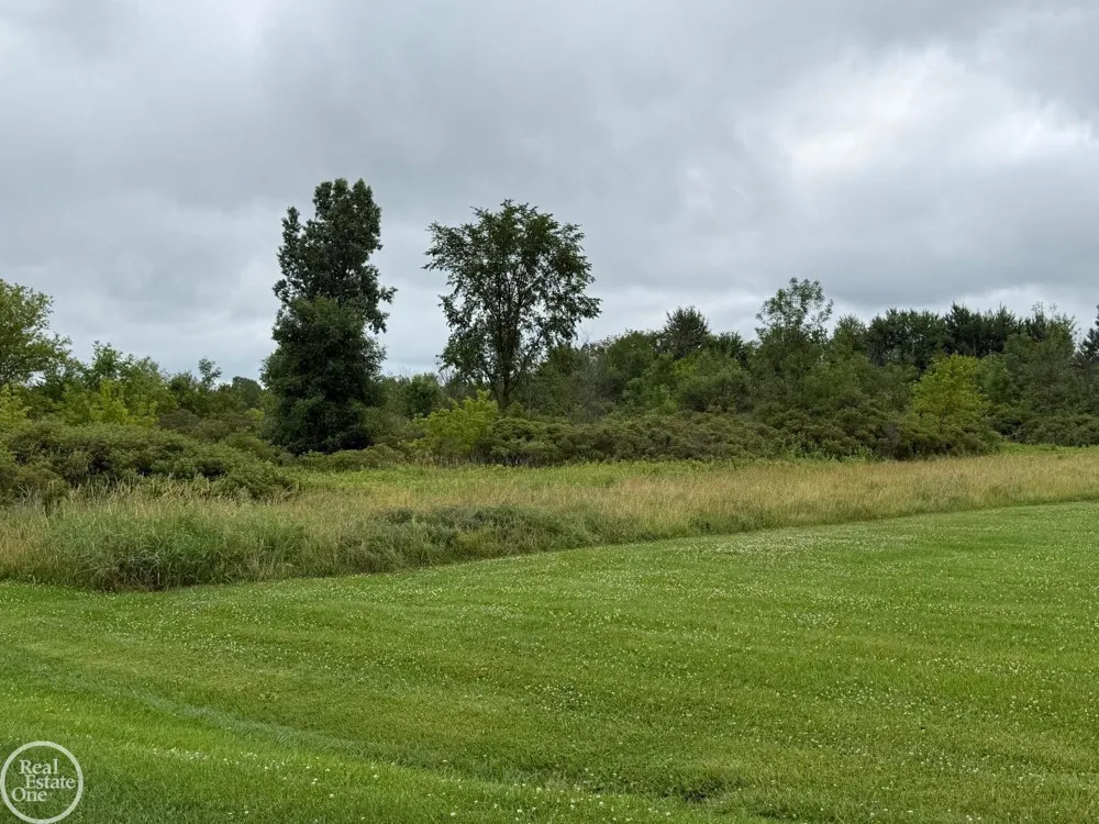 15594 Bryce Road Mussey Township, MI 48014