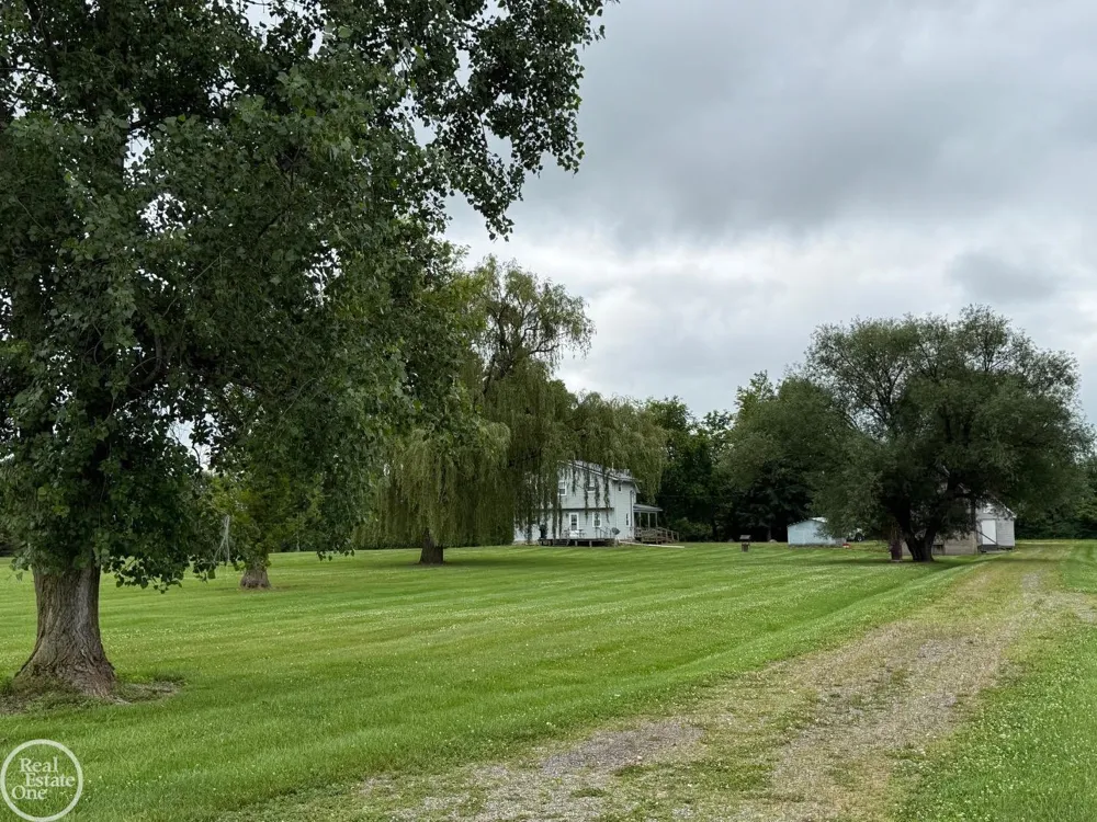 15594 Bryce Road Mussey Township, MI 48014