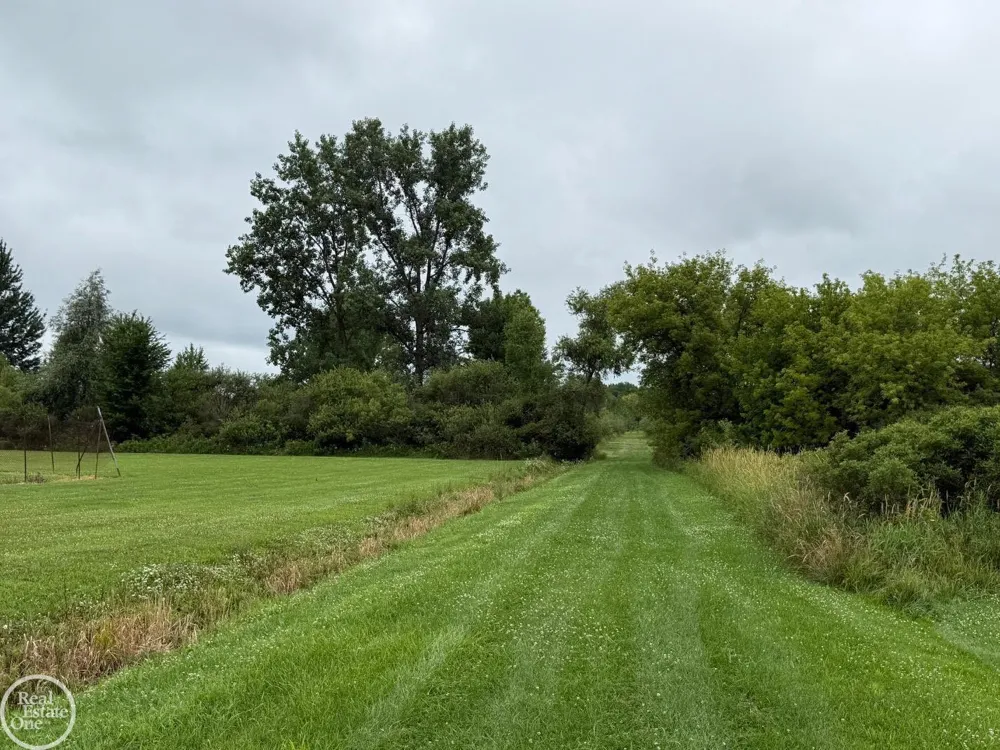 15594 Bryce Road Mussey Township, MI 48014