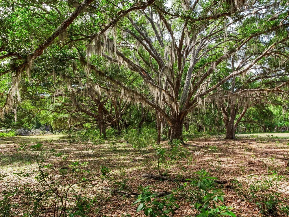 Address Not Shown Thonotosassa, FL 33592