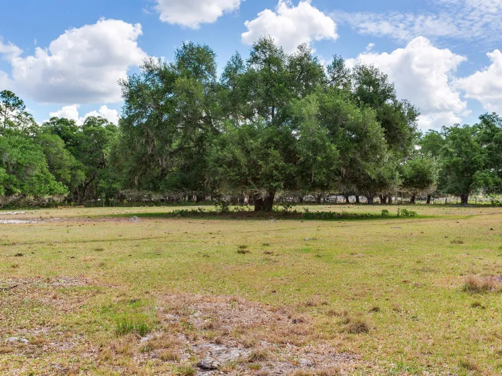 Address Not Shown Thonotosassa, FL 33592