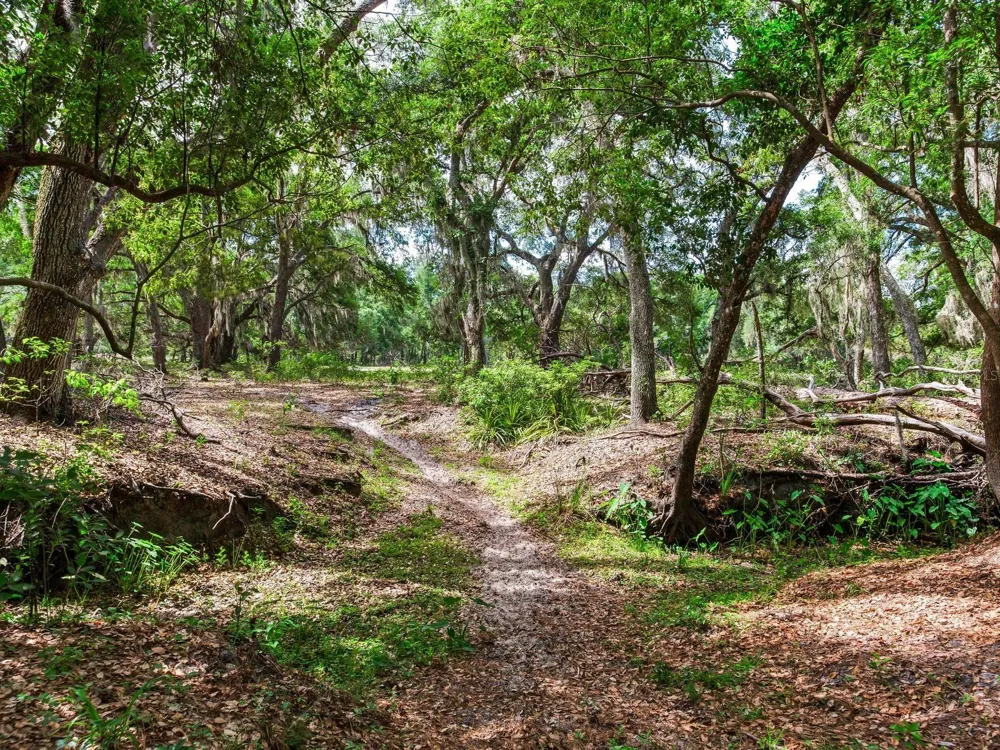 Address Not Shown Thonotosassa, FL 33592