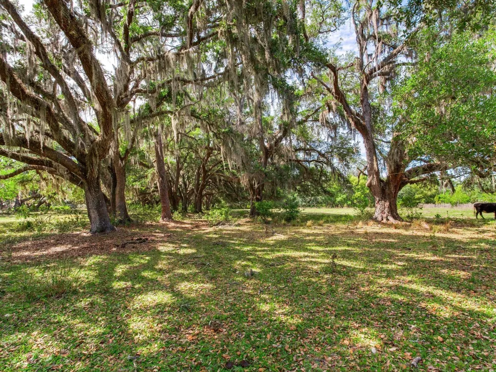 Address Not Shown Thonotosassa, FL 33592