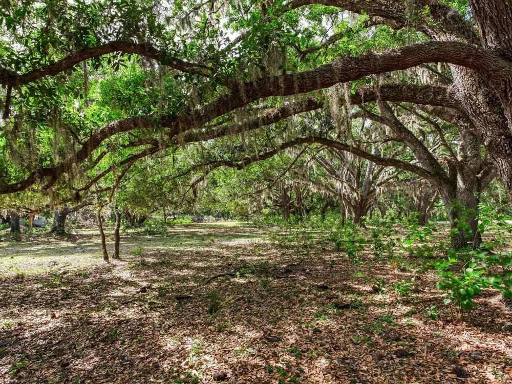 Address Not Shown Thonotosassa, FL 33592