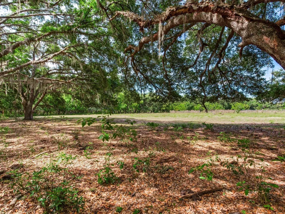 Address Not Shown Thonotosassa, FL 33592