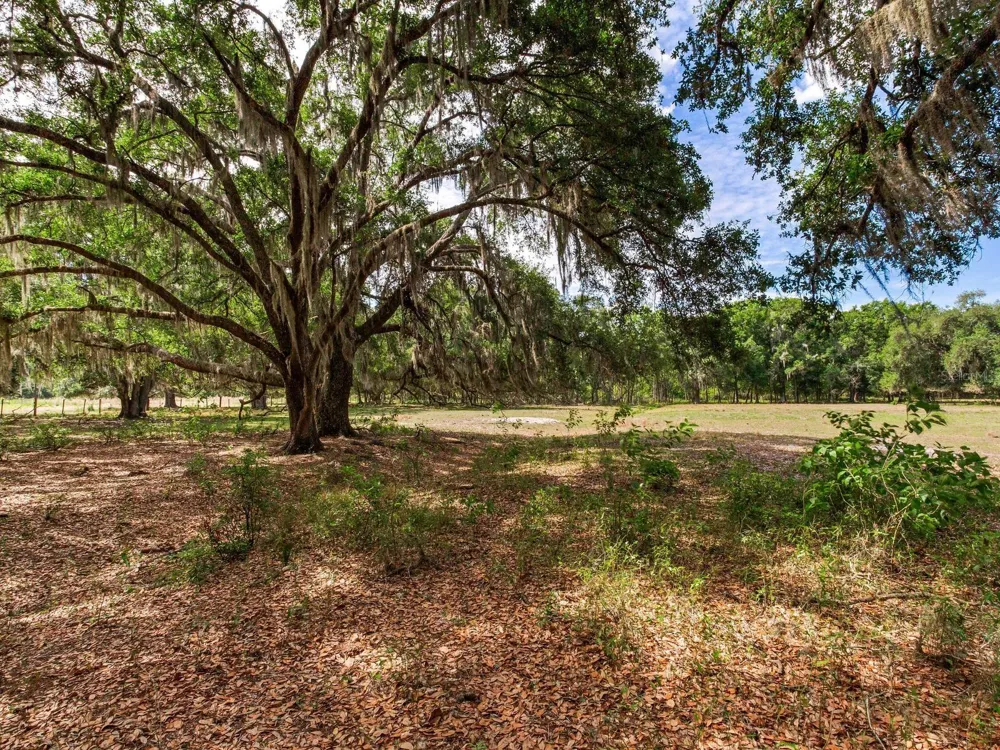 Address Not Shown Thonotosassa, FL 33592