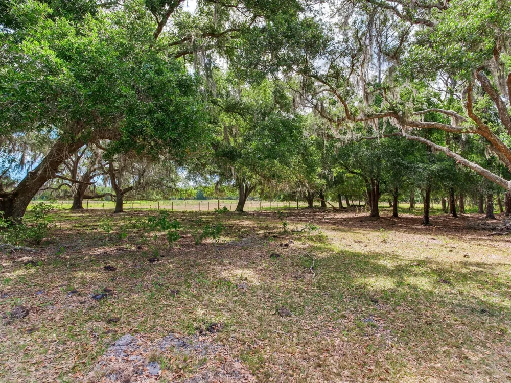 Address Not Shown Thonotosassa, FL 33592
