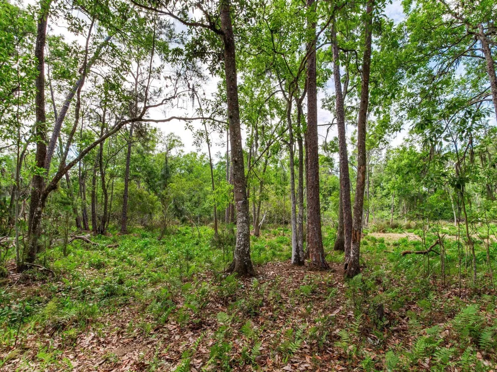 Address Not Shown Thonotosassa, FL 33592