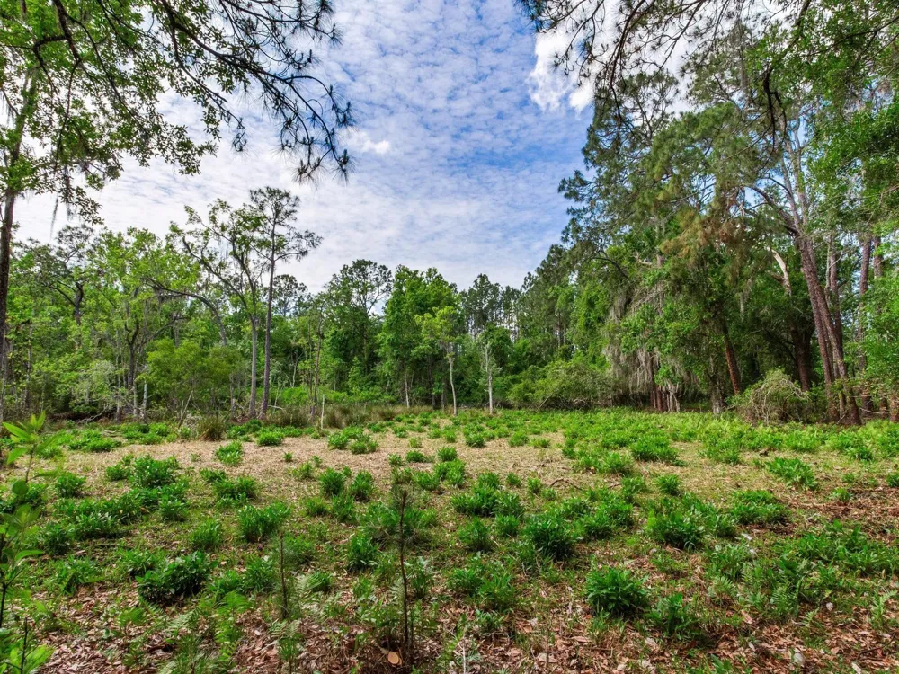 Address Not Shown Thonotosassa, FL 33592