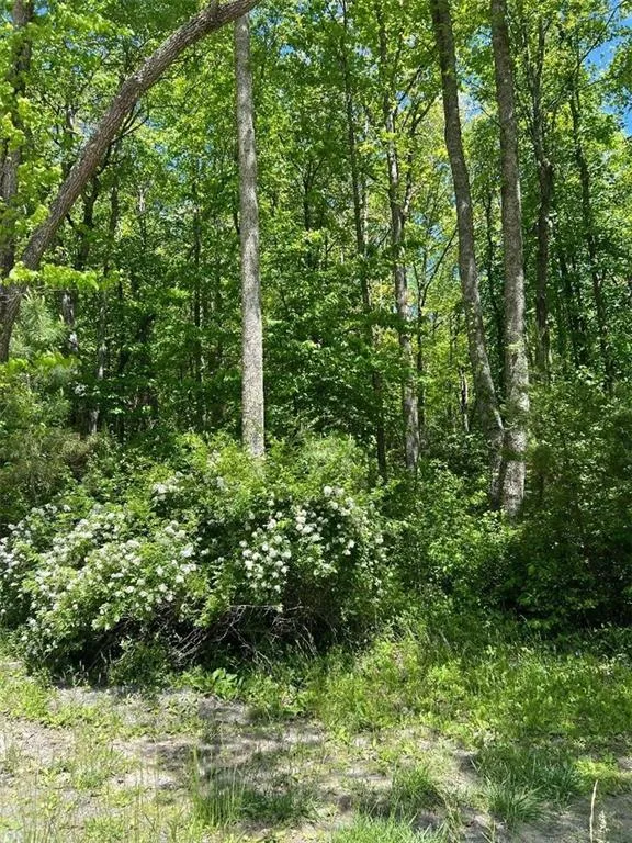 0 Sunrise Valley Road Blue Ridge, GA 30513