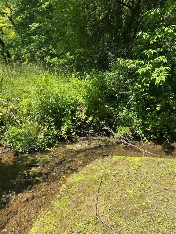 0 Sunrise Valley Road Blue Ridge, GA 30513