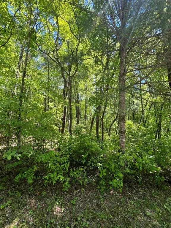 0 Sunrise Valley Road Blue Ridge, GA 30513