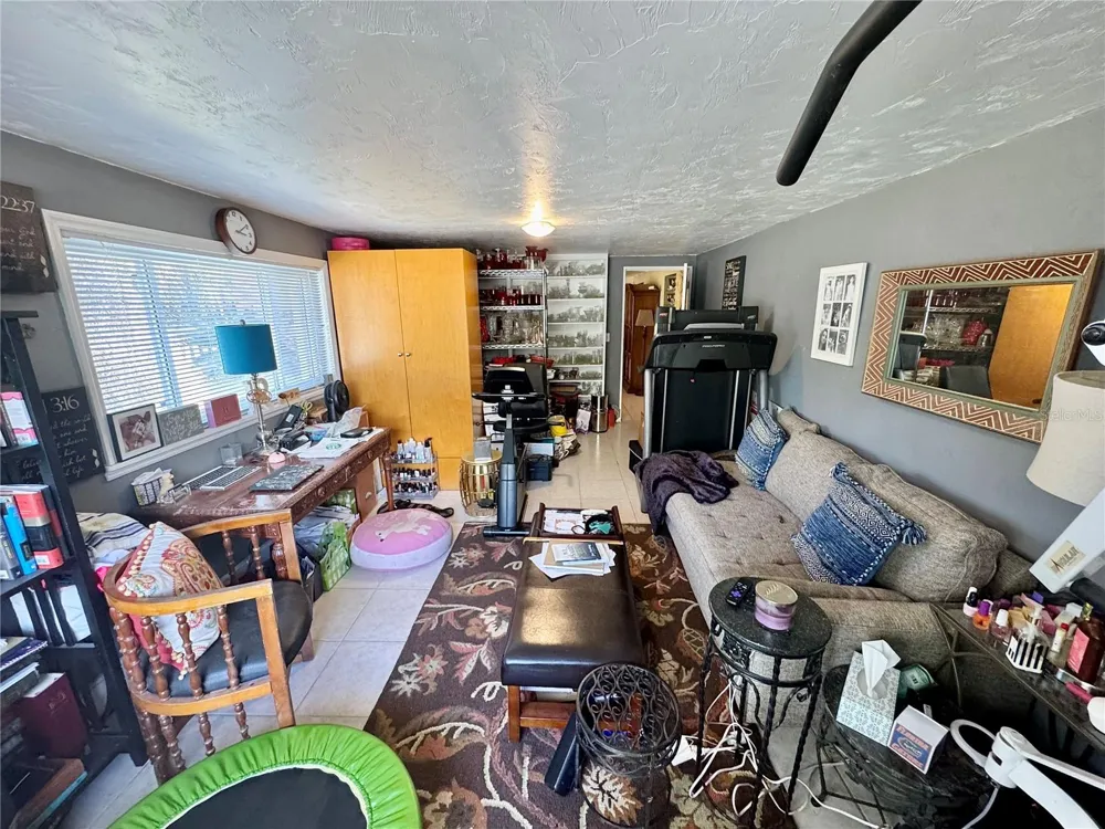 11816 SE COUNTY ROAD 234 Micanopy, FL 32667