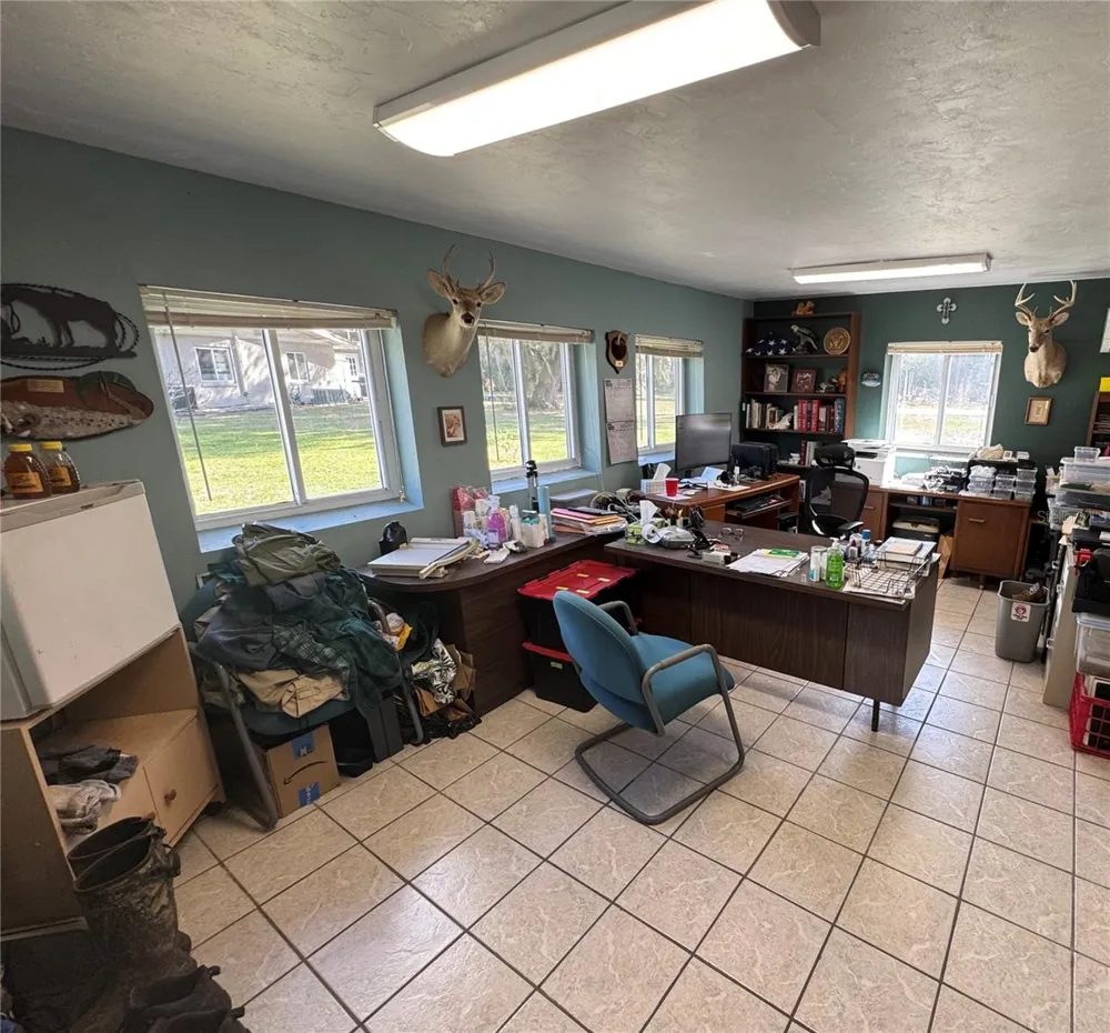 11816 SE COUNTY ROAD 234 Micanopy, FL 32667