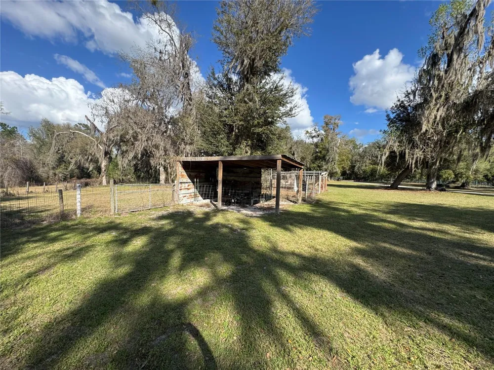 11816 SE COUNTY ROAD 234 Micanopy, FL 32667