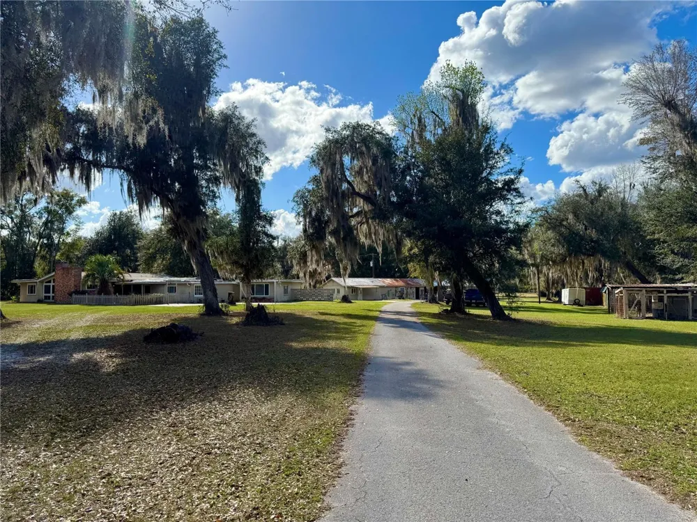 11816 SE COUNTY ROAD 234 Micanopy, FL 32667