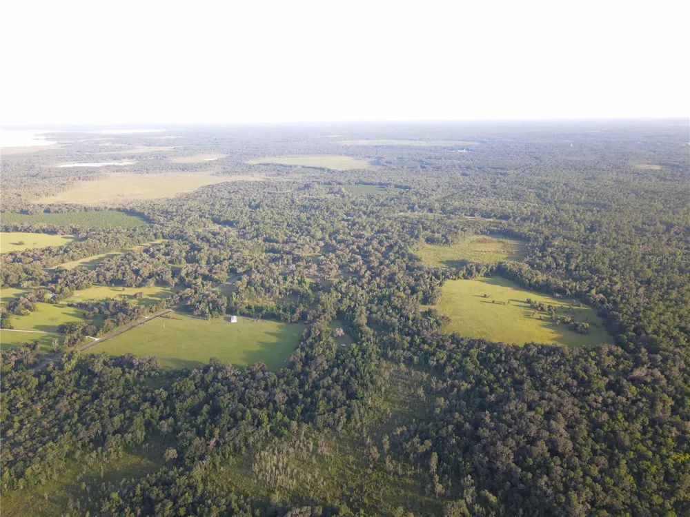11816 SE COUNTY ROAD 234 Micanopy, FL 32667
