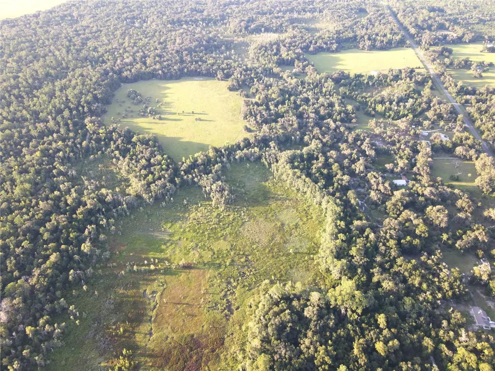 11816 SE COUNTY ROAD 234 Micanopy, FL 32667