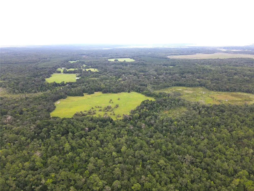 11816 SE COUNTY ROAD 234 Micanopy, FL 32667